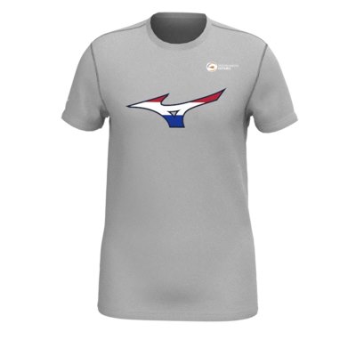 Camisa Mizuno Nevobo Nederland Hombre Grises - Chile M628ZPJRUX
